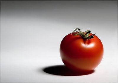Lonesome tomato 