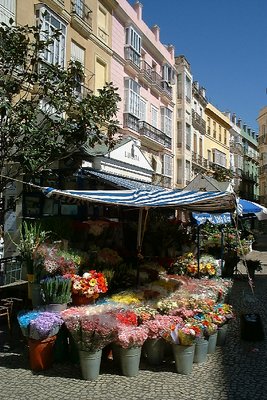 The flower market