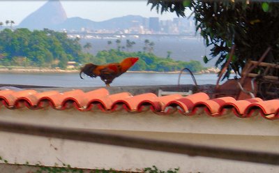 Landscape intruder