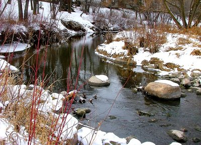 Winter comes to Sturgeon Creek