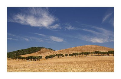 Alentejo 