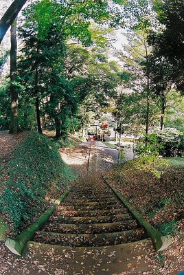 Path Down to Torii