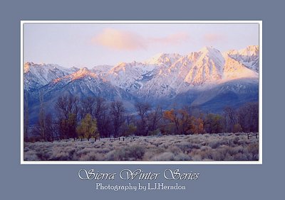 Sierra Winter Series #1