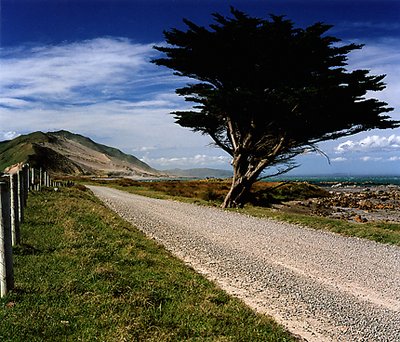 Road to Wanganui