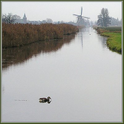 A very Dutch landscape