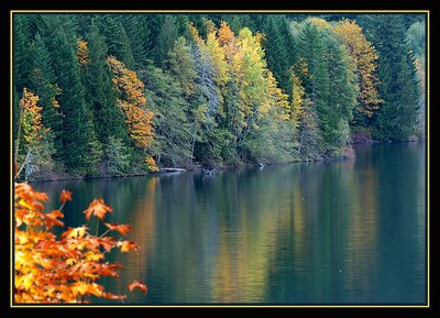 Sproat Lake Autumn