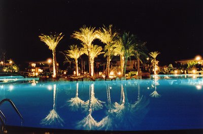 Palm Reflection