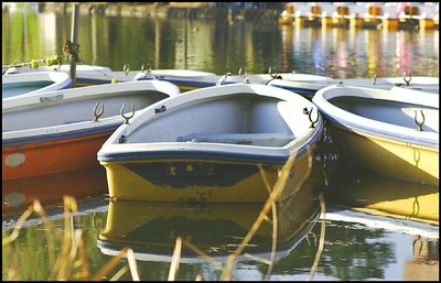 Moored Boats