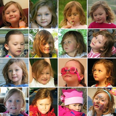 The many faces of Anja II