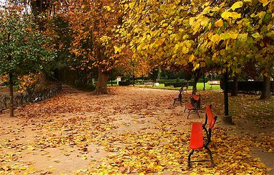 Warm Colors