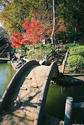 Hump-Backed Bridge