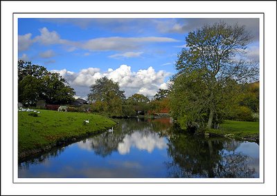 The pond at Horningsham