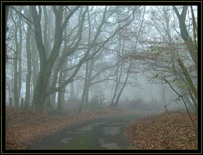 Foggy Approach