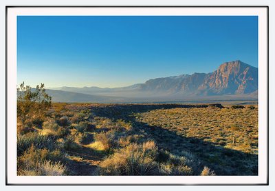 Mojave the Desert