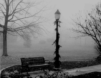 Foggy Bench at Christmas