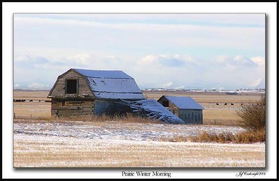 Prairie Winter Morning