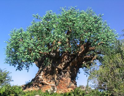 Tree Of Life- Disney Animal Kingdom