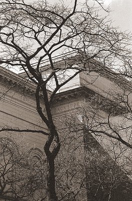 Tree of Knowledge