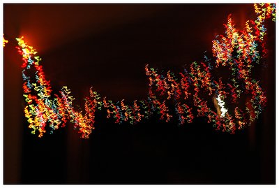 Christmas Lights