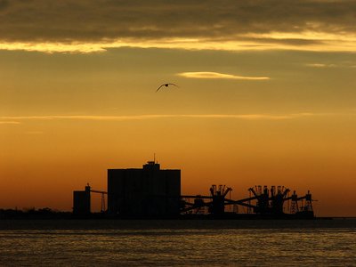 The seagull, The mill and the Sun going away...