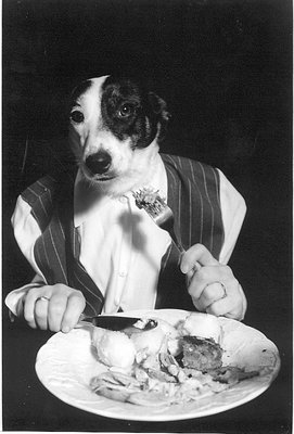 A dog's life 3