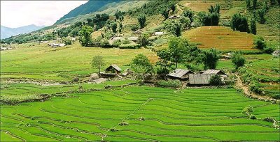 Lao Chai tribal hamlet