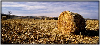 Silage