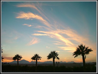 Egyptian Sunset among the plams