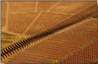 sulla strada del vino bono per