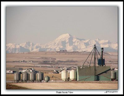 Prairie Scenic View