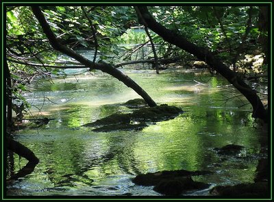Green creek........