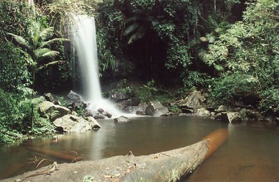 Cutis Falls.