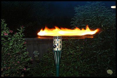Attempt 1-Fire
