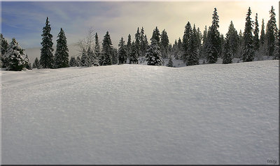 snow greeting