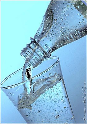 Water Bottle