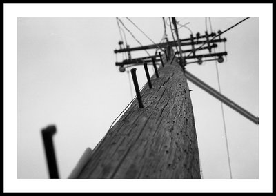 telephone pole