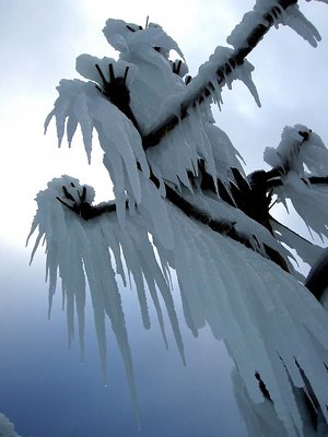 Ice
