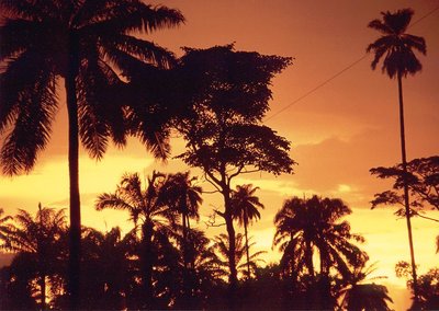 Sunset in Nigeria