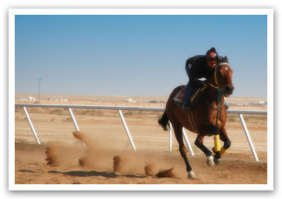 Horse in Motion