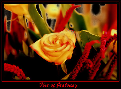 fire of jealousy..