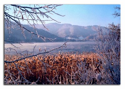 Wandering in winter wonderland...