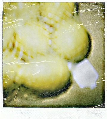Lemons - Polaroid 600