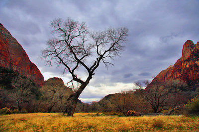 Colors in Zion Utah