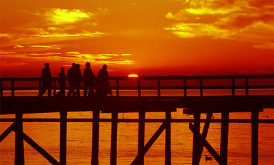On the Dock