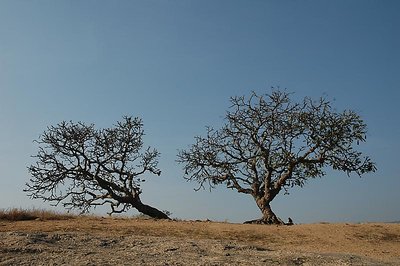 Desolate Desertion