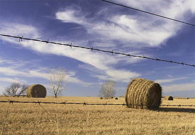 A Roll in the Hay