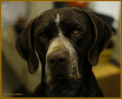  " MONTY"
