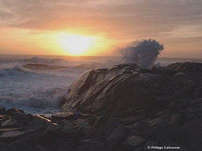 Iceland sea