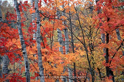 Approaching Autumn