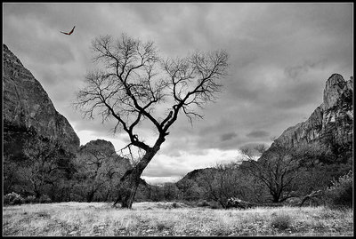 Utah/Zion